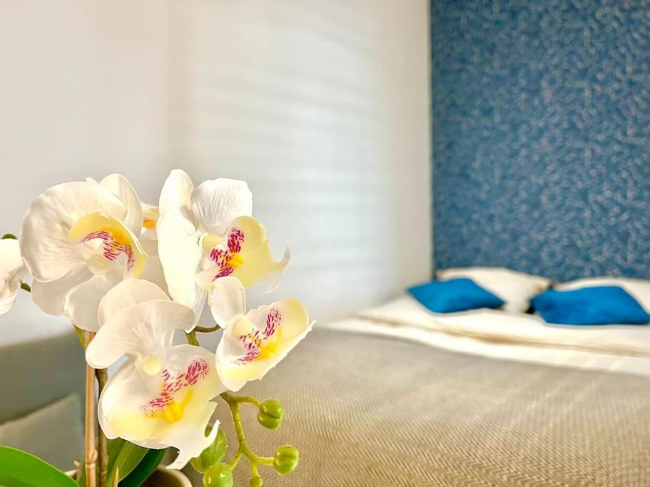 Apartment Splendide Cocon Sauna & Balneo Reims